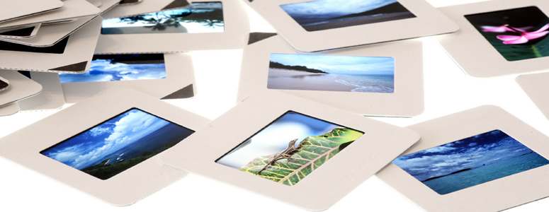 filmroll